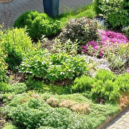 Sauerland Burgfenster アパート *