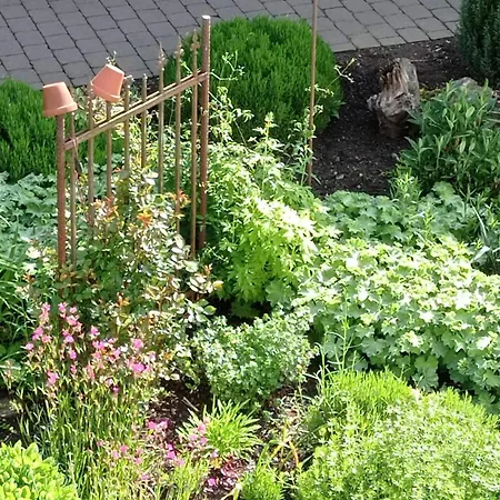 Sauerland Burgfenster アパート