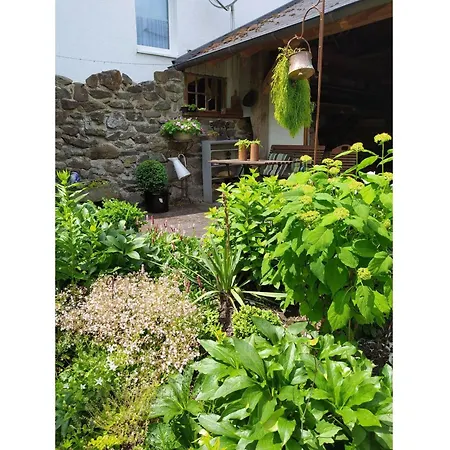 Sauerland Burgfenster