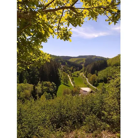 Sauerland Burgfenster *