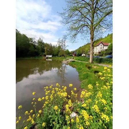 Sauerland Burgfenster アパート *