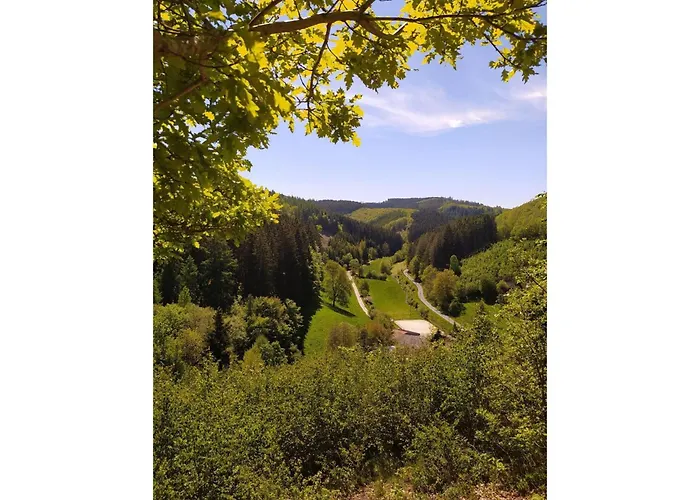 Sauerland Burgfenster *