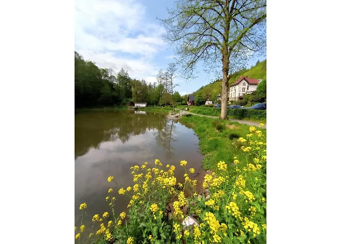 Sauerland Burgfenster Apartamento *